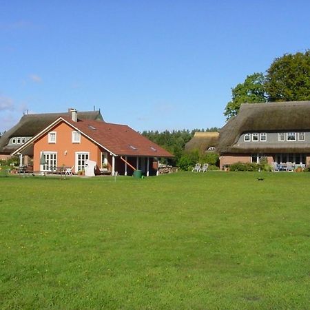 Ferienwohnung Nr 07 Og Spitzboden 博恩 外观 照片